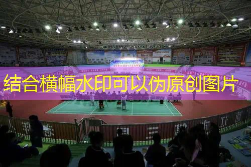 爱游戏ayx集团：费德勒网球拍怎么选择