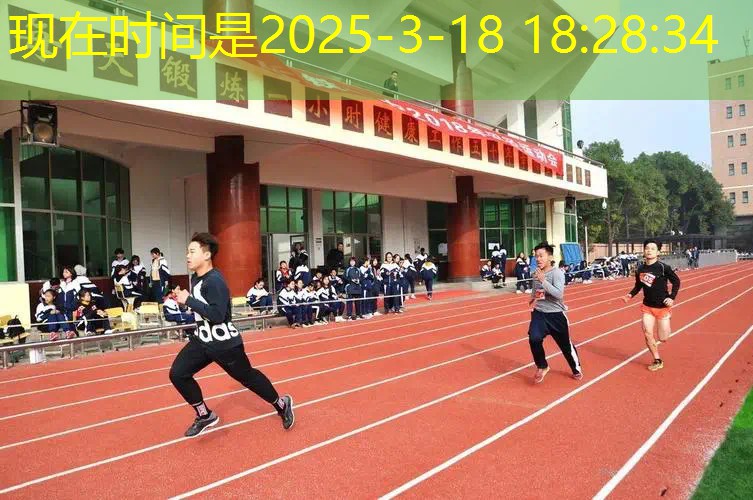 网球拍球柄材料是什么做的
