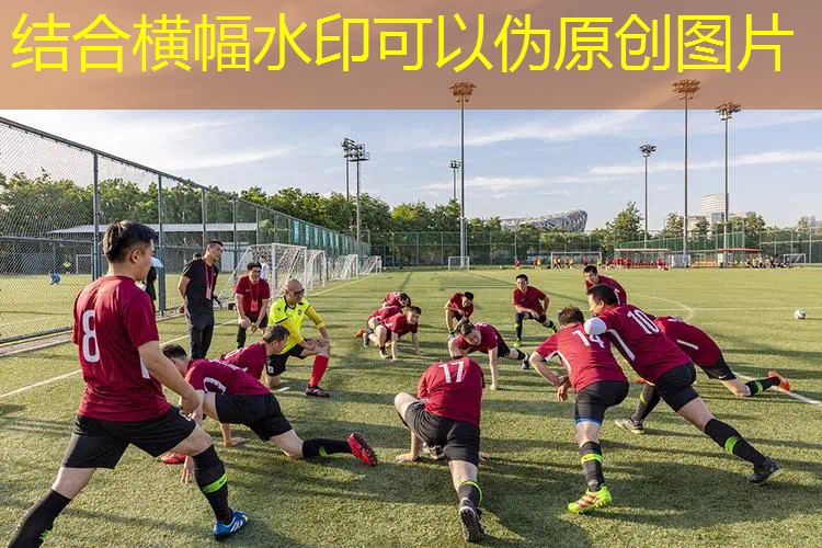 香港沙田网球拍怎么样