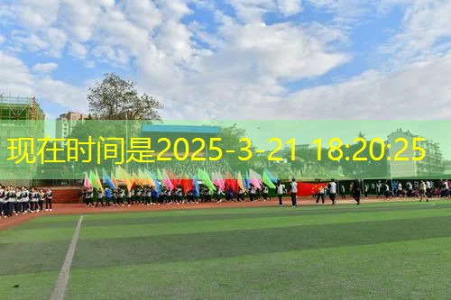 新手入门网球拍500以内