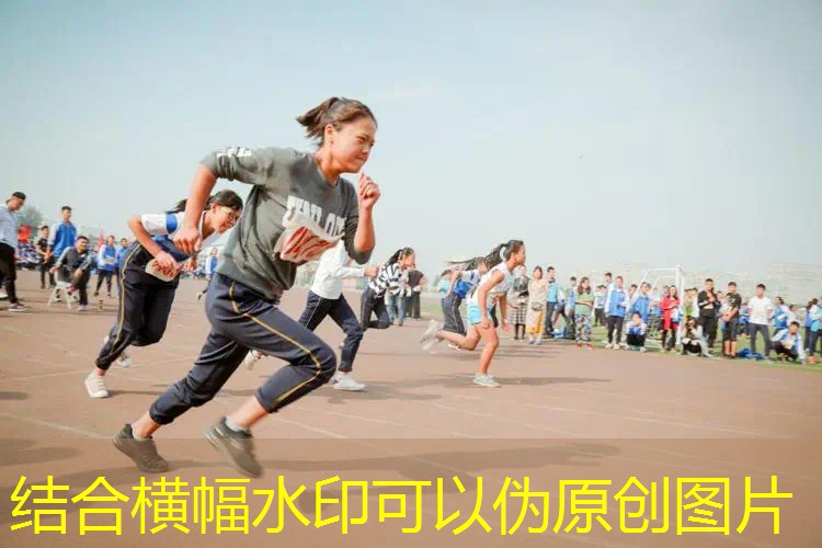 自拍网球拍训练器