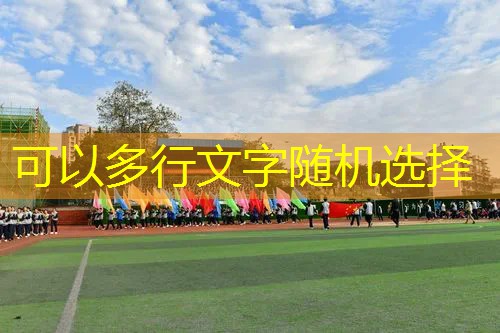 爱游戏ayx官方全站：海德网球拍淡蓝色15款