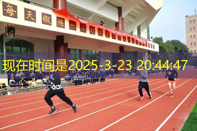 爱游戏ayx总部：拍面95英寸网球拍