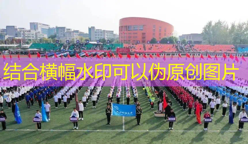 爱游戏ayx集团：网球拍怎么区分硬线和软线
