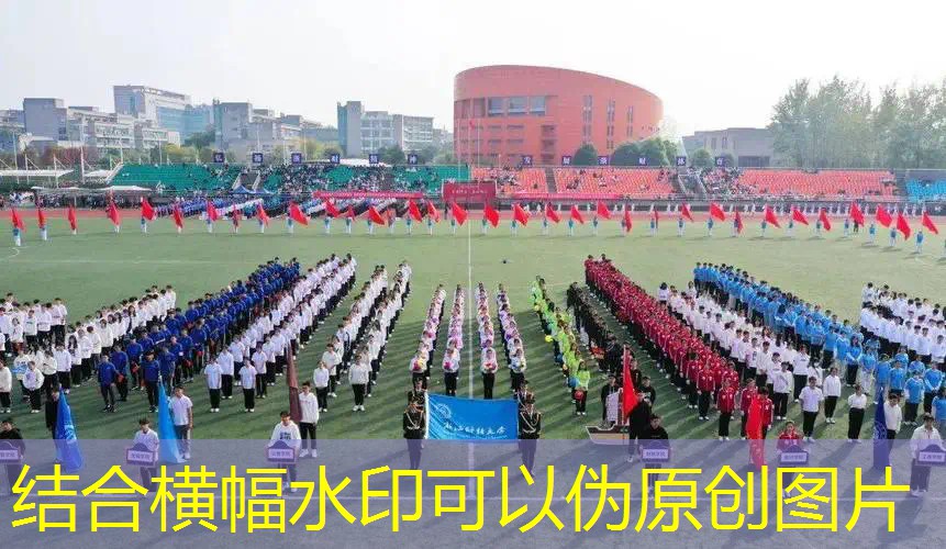 爱游戏ayx总部：任天堂网球拍价格表图