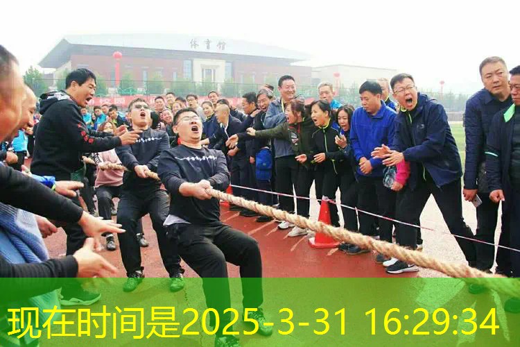 爱游戏ayx官方全站：网球拍减震器哪个好