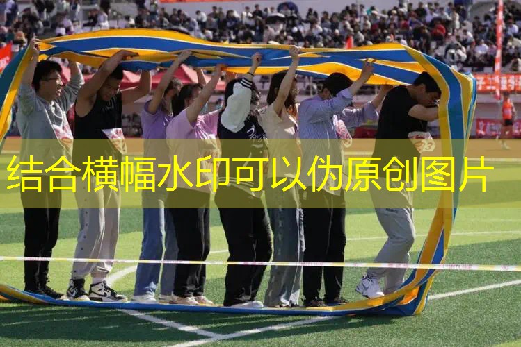 爱游戏中国官方网站：为什么所有球类都有网球拍