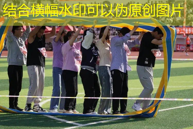 网球拍不同价位对比