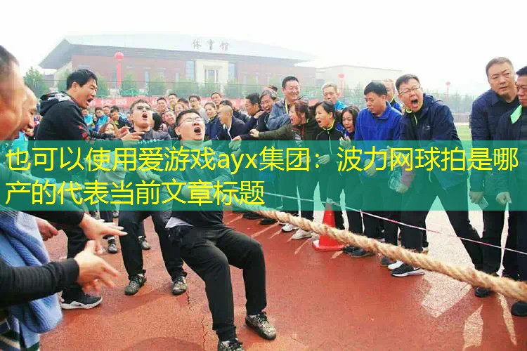 爱游戏ayx集团：波力网球拍是哪产的