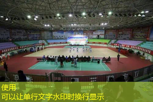 爱游戏ayx官方全站：德约科维奇实用网球拍