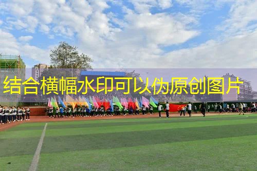 打网球拍怎么拿起来