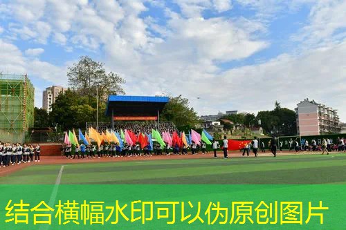 ayx·爱游戏：网球拍能不能补网