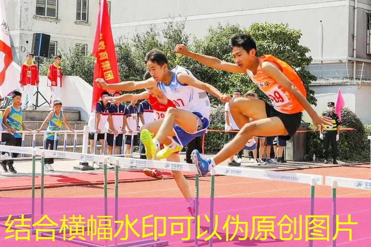 ayx爱游戏：王世均收藏网球拍