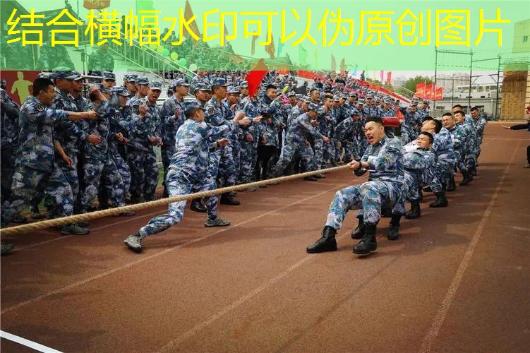 百保力网球拍女神款