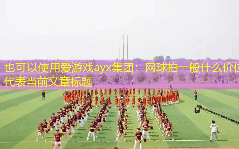 爱游戏ayx集团：网球拍一般什么价位