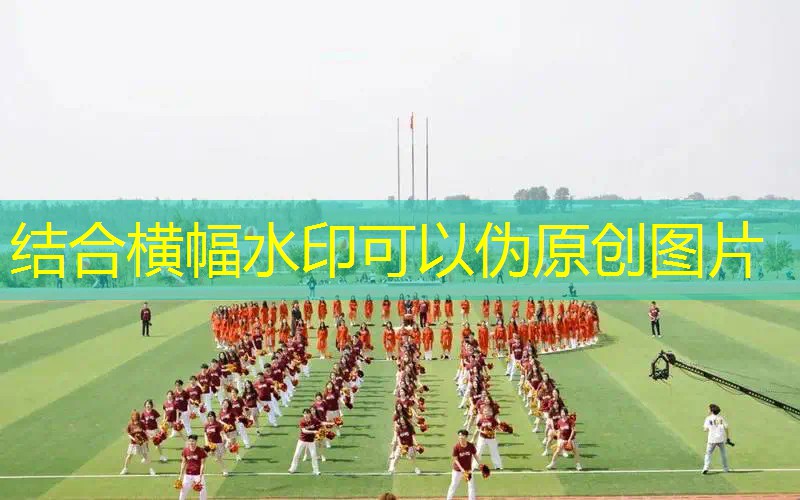 爱游戏ayx官方网站入口：维尔胜网球拍是那个国家