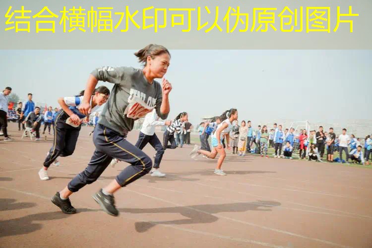 爱游戏ayx官方网站入口：萨达单人双人网球拍怎么选