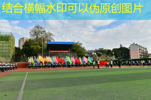 爱游戏ayx集团：驰骋塑胶路：揭秘塑胶跑道材料所蕴含的绝佳弹性原理