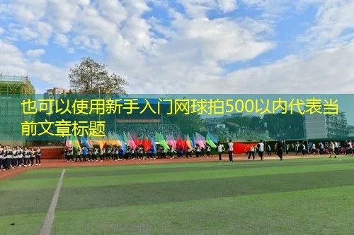 新手入门网球拍500以内 新手入门网球拍500以内