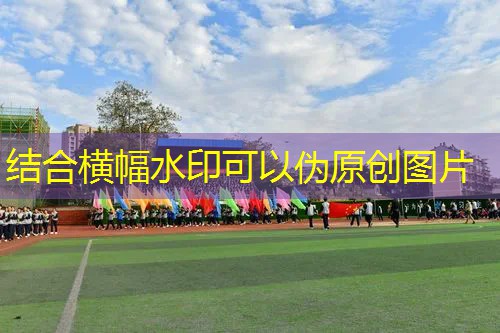海德网球拍淡蓝色15款 海德网球拍淡蓝色15款