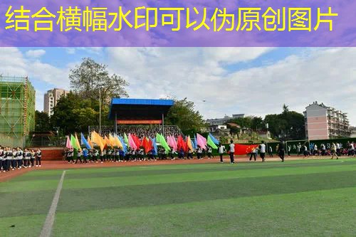 12款百宝力网球拍 12款百宝力网球拍