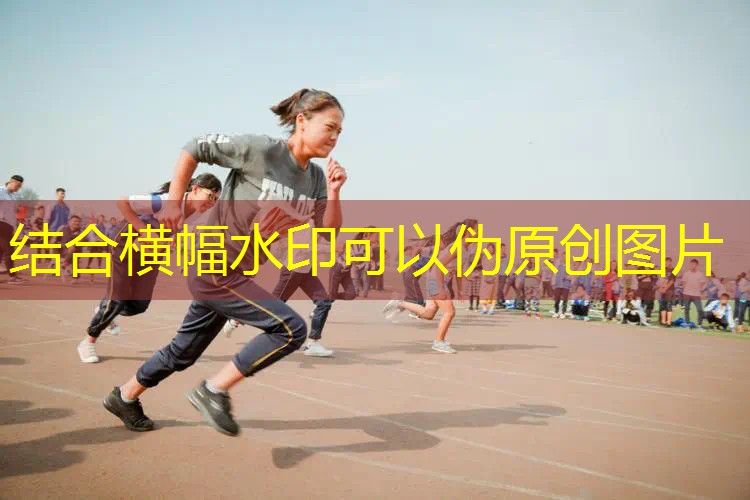 百宝力网球拍怎么选线 百宝力网球拍怎么选线