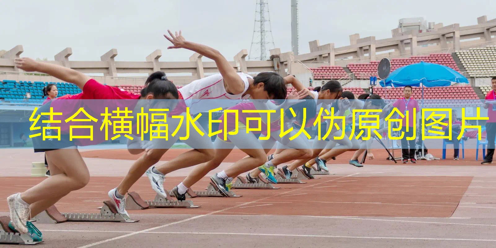 板式网球拍哪种好用又便宜 板式网球拍哪种好用又便宜