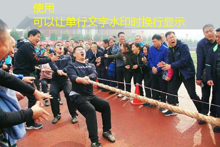 网球拍大学生新手双拍 网球拍大学生新手双拍
