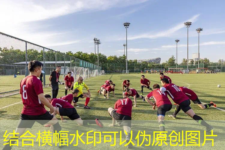 网球拍涤纶线是硬线吗_ 网球拍涤纶线是硬线吗_