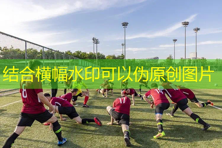 网球拍单人训练器适合场地 网球拍单人训练器适合场地