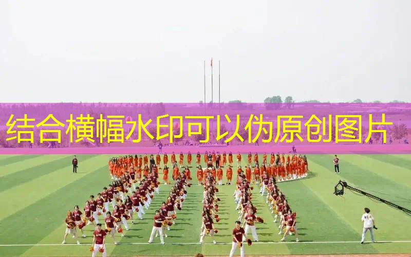 网球拍减震带系第几线 网球拍减震带系第几线
