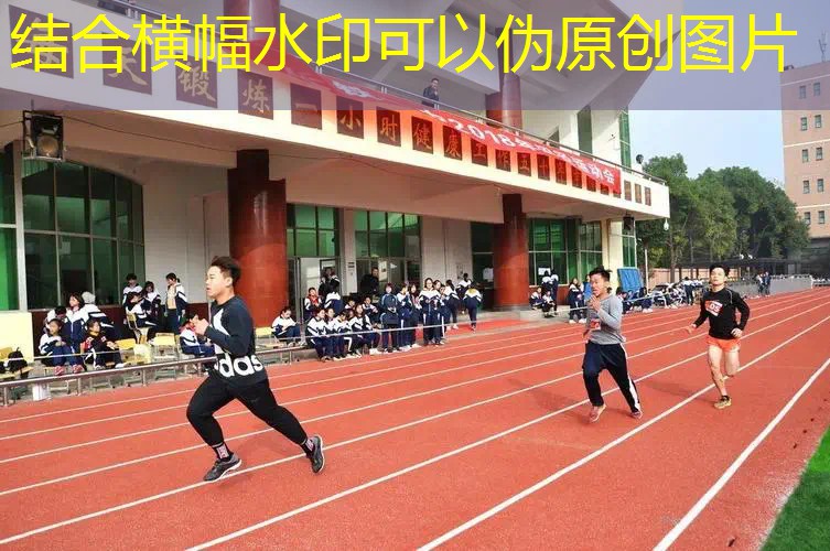 海德网球拍在哪看型号 海德网球拍在哪看型号