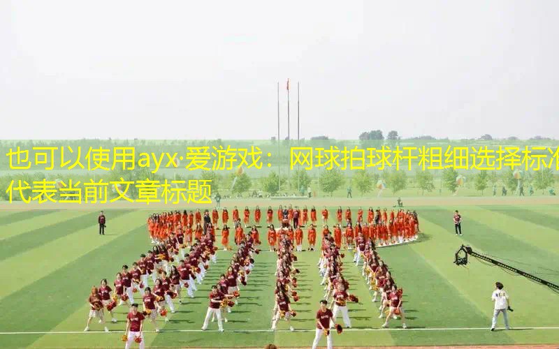 网球拍球杆粗细选择标准 网球拍球杆粗细选择标准