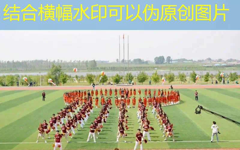 网球拍一般什么价位 网球拍一般什么价位