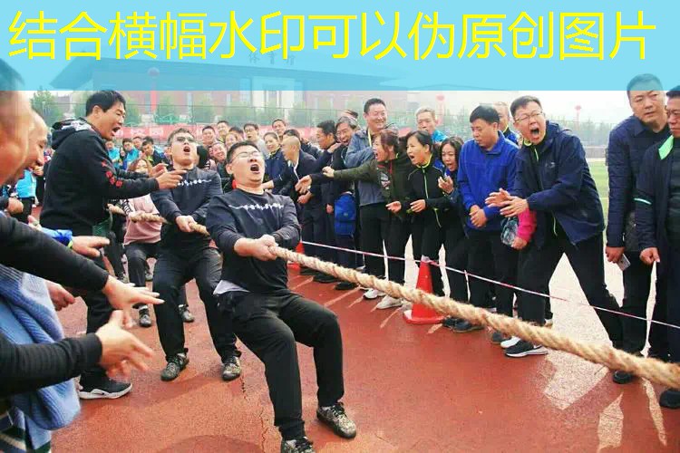 网红网球拍训练器教程