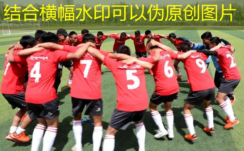 内蒙古家庭乒乓球台